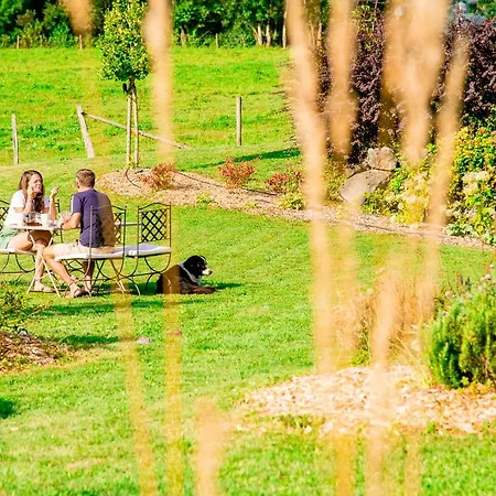 Le Paradis - De Groupe Guest house La Roche-sur-Foron