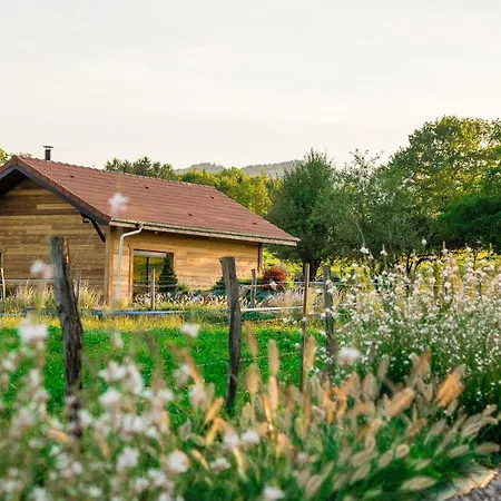 Guest house Le Paradis - De Groupe 3*